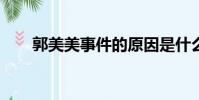 郭美美事件的原因是什么?(高美美)