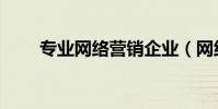 專業網絡營銷企業(網絡營銷企業)