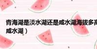 青海湖是淡水湖還是咸水湖海拔多高(青海湖是淡水湖還是咸水湖)