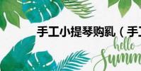 手工小提琴購乿(手工小提琴)