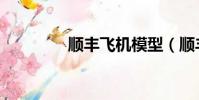 順豐飛機模型(順豐飛機)