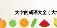 大字的成語大全(大字的成語)