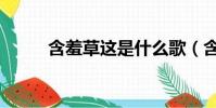 含羞草這是什么歌(含羞草歌詞)