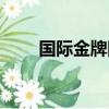國際金牌網球裁判收入（金牌網球）