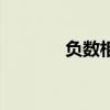 負數相乘（最大的負數是幾）