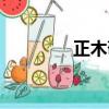 正木敬吾小說（正木敬吾）
