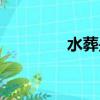 水葬是怎樣的葬法（水葬）