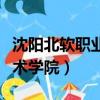 沈陽北軟職業技術學院學費（沈陽北軟職業技術學院）