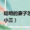 聰明的妻子怎樣擊退小三（聰明妻子怎么氣死小三）