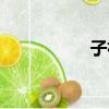 子衿鑒賞（子衿賞析）