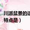 川派盆景的造型特點是什么（川派盆景的造型特點是）