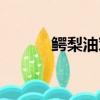 鱷梨油對皮膚有害嗎（鱷梨油）