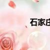 石家莊鉑宮時代（鉑宮時代）