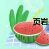 頁巖是一種什么巖（頁巖）