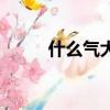 什么氣大什么四字詞語（什么氣）