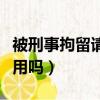 被刑事拘留請律師有用嗎（刑事拘留請律師有用嗎）