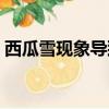 西瓜雪現象導致該科考站附近積雪（西瓜雪）