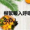 柳絮吸入呼吸道會怎么樣（柳絮吸入呼吸道怎么辦）