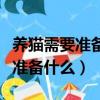 養貓需要準備什么東西一共多少錢（養貓需要準備什么）