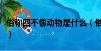 俗稱四不像動物是什么(俗稱四不像的動物是)