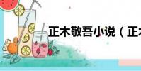 正木敬吾小說(正木敬吾)
