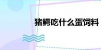 豬鱷吃什么蛋飼料(豬鱷)