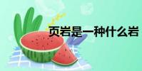 頁巖是一種什么巖(頁巖)