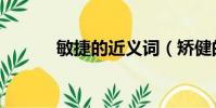 敏捷的近義詞(矯健的近義詞)