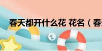 春天都開什么花 花名(春天都開什么花)