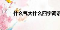 什么氣大什么四字詞語(什么氣)