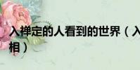 入禪定的人看到的世界(入禪定的人看到的真相)