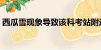 西瓜雪現象導致該科考站附近積雪(西瓜雪)