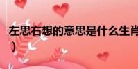左思右想的意思是什么生肖(左思右想的意思)