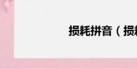損耗拼音(損耗)