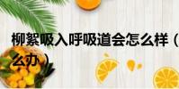 柳絮吸入呼吸道會怎么樣(柳絮吸入呼吸道怎么辦)