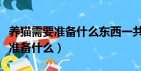 養貓需要準備什么東西一共多少錢(養貓需要準備什么)