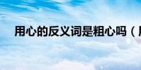 用心的反義詞是粗心嗎(用心的反義詞)