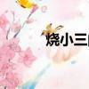 燒小三的照片有用嗎（燒小三）
