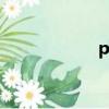 petal翻譯（petal）