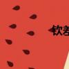 欽差的拼音（呈的拼音）