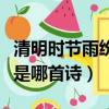 清明時節雨紛紛是哪首詩詞（清明時節雨紛紛是哪首詩）