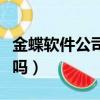 金蝶軟件公司待遇怎么樣（金蝶軟件公司好進嗎）