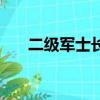 二級軍士長是什么軍銜（二級軍士長）