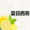 夏日西齋書事古詩（夏日西齋書事）