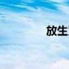 放生咒原文全文（放生咒）