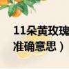 11朵黃玫瑰花語的準確意思（黃玫瑰花語的準確意思）