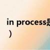 in process是什么意思（process是什么意思）