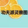 功夫派靈獸圖鑒大全（功夫派通靈貓怎么得）