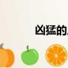 兇猛的反義詞（勇敢的反義詞）