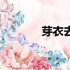 芽衣去哪里了（芽衣的秘密）